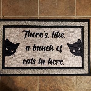Custom Indoor Outdoor Door Mat